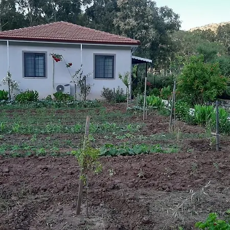 Villa Uslu Hause Tatıl Evlerı Turgutkoy